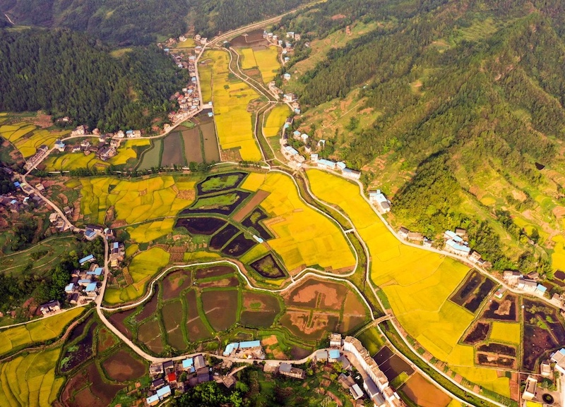 田园之魅